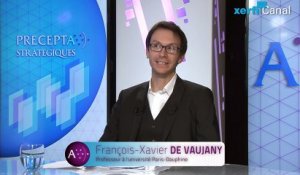 François-Xavier de Vaujany, Xerfi Canal Economie collaborative : le nouveau souffle du capitalisme