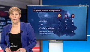 TV Vendée - Le JT du 26/02/2015