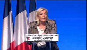 Départementales: les grandes ambitions du FN de Marine Le Pen