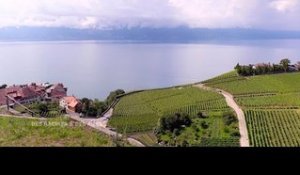 DRDA : Le vignoble de Lavaux