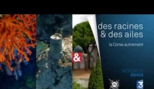 DRDA : La Corse autrement - Bande-annonce