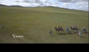 Faut Pas Rêver en Mongolie (Teaser)