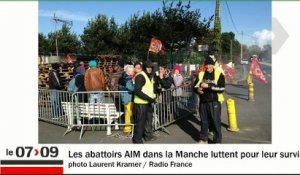 Le Zoom de La Rédaction : Le porc français se bat pour sa survie