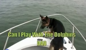 Le chien qui se prend pour un dauphin