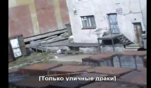 Le Chat Qui Attaque Un Ours Des Montagnes Sur Orange Videos