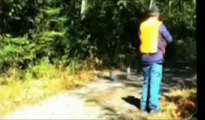 De Fortes Ressemblences Entre Les Dessins Animés Disney Sur