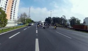 Des motards sauvent un chien perdu sur l'autoroute après avoir sauté d'un véhicule!
