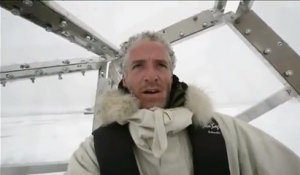 Un caméraman se met dans une cage pour filmer un ours polaire