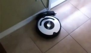 Mon aspirateur robot à étalé dans la maison la merde de mon chien