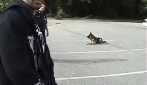 Hop hop hop ce chien bien dressé ouvre les portes de voiture ! Quel talent !