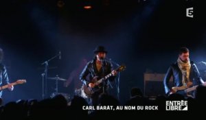 Carl Barat, au nom du rock