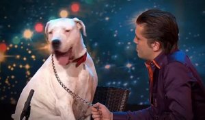 La prestation d'un chien dans Belgium's Got Talent