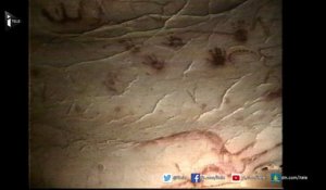 Immersion dans la véritable grotte Chauvet