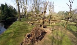 Un chimpanzé règle son compte à un drone trop énervant