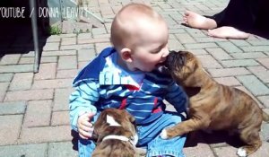 Des bébés et des chiens