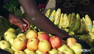 Sénégal, Nouvel investissement pour la relance agricole