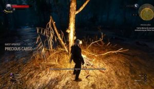 The Witcher 3 Wild Hunt - “Precious Cargo” quest