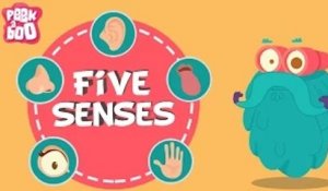 The Five Senses | The Dr. Binocs Show | Learn Series For Kids