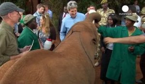 Un bébé éléphant fait un selfie avec John Kerry