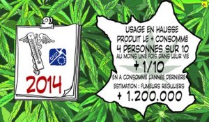 Expliquez-nous... la consommation de cannabis en France