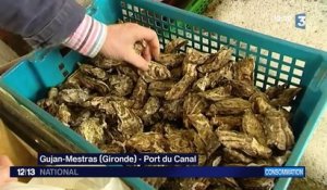 Bassin d'Arcachon : les huîtres contaminées par une toxine
