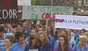 Les étudiants en médecine vétérinaire dénoncent une surpopulation dans leur branche
