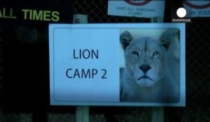Afrique du Sud : mordue à mort par un lion