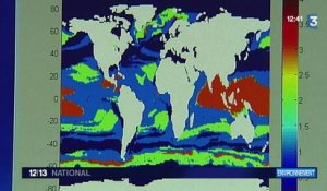 Le réchauffement climatique perturbe des fonds marins