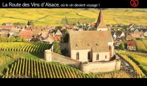 La Route des Vins d'Alsace