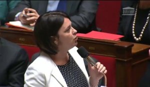 Gens du voyage :  S. Pinel répond à une QAG