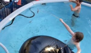 Se baigner avec un python dans la piscine en Australie !