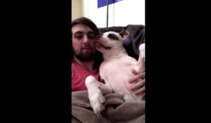 Un chien met un grand coup de langue à son maitre