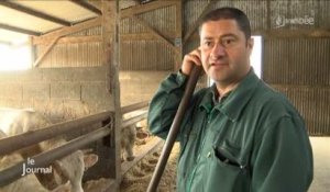 Prix de la viande bovine: Rencontre avec un éleveur (Vendée)