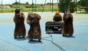 Bel été sur France 3 avec Les Marmottes Rap / été 2015