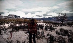 Red Dead Redemption - cheatcode ivresse