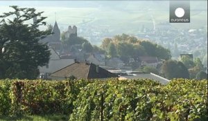 La Champagne et la Bourgogne viticoles au patrimoine mondial de l'Unesco