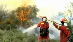 Canicule en Espagne : des milliers d’hectares détruits par un violent incendie
