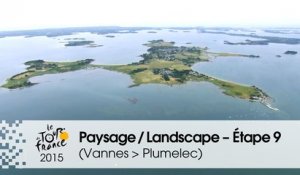 Paysage du jour / Landscape of the day - Étape 9 (Vannes > Plumelec) - Tour de France 2015