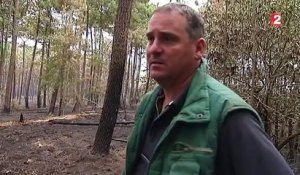 Sarthe : un incendie ravage plus de 100 hectares de forêt