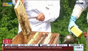 Le Reportage: Un toit pour les abeilles, parrainage de ruche - 21/07