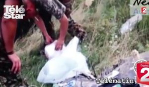 Télématin : une vidéo de pillage des décombres du vol MH17 fait scandale