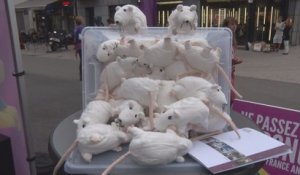 GAIA veut que les Belges "ne passent pas l'éponge sur la souffrance animale"