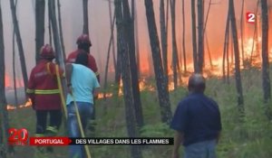 Le Portugal frappé par de violents incendies
