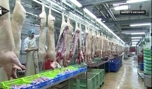 L'exportation: une solution pour la survie de l'élevage porcin ?