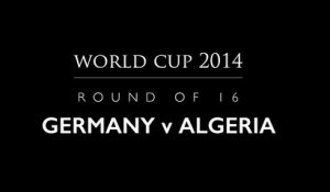 Fernando the Hamster - Round of 16 - 1 July: Germany vs Algeria
