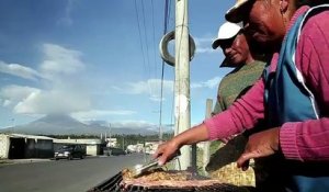 Equateur: 325.000 personnes menacées par l'éruption du Cotopaxi