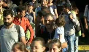 Afflux des demandeurs d'asile en France : qui sont-ils et d'où viennent-ils ?