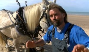 Nettoyage des plages : Les cheveux remplacent les tracteurs