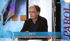 Emmanuel Petit, Xerfi Canal Penser aux émotions dans l'économie