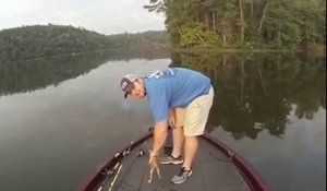 Un pêcheur récupère deux chatons dans une rivière